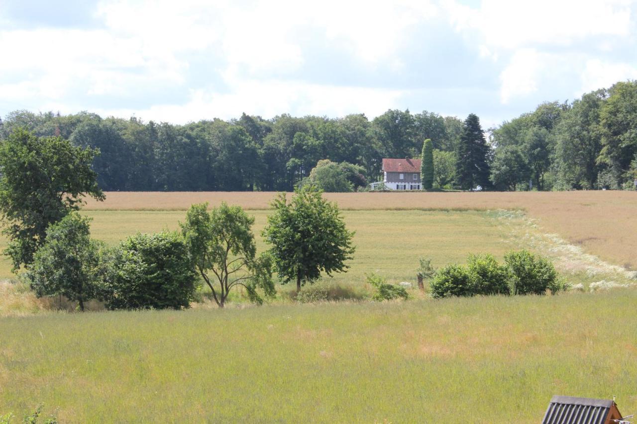 Ferienwohnung Landsburgblick Neuental Экстерьер фото